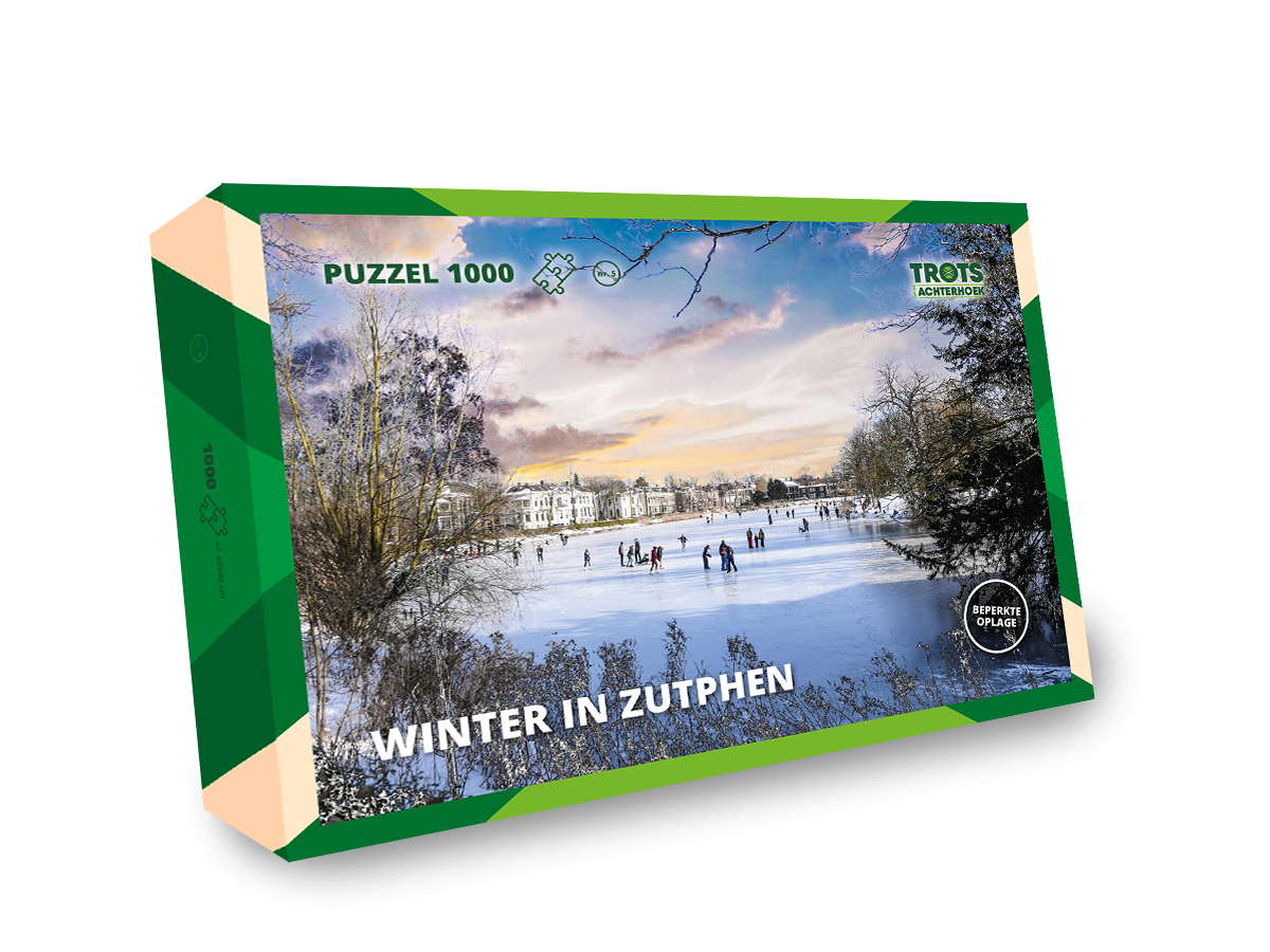 Achterhoekse puzzel Winter in Zutphen 1000 stukjes
